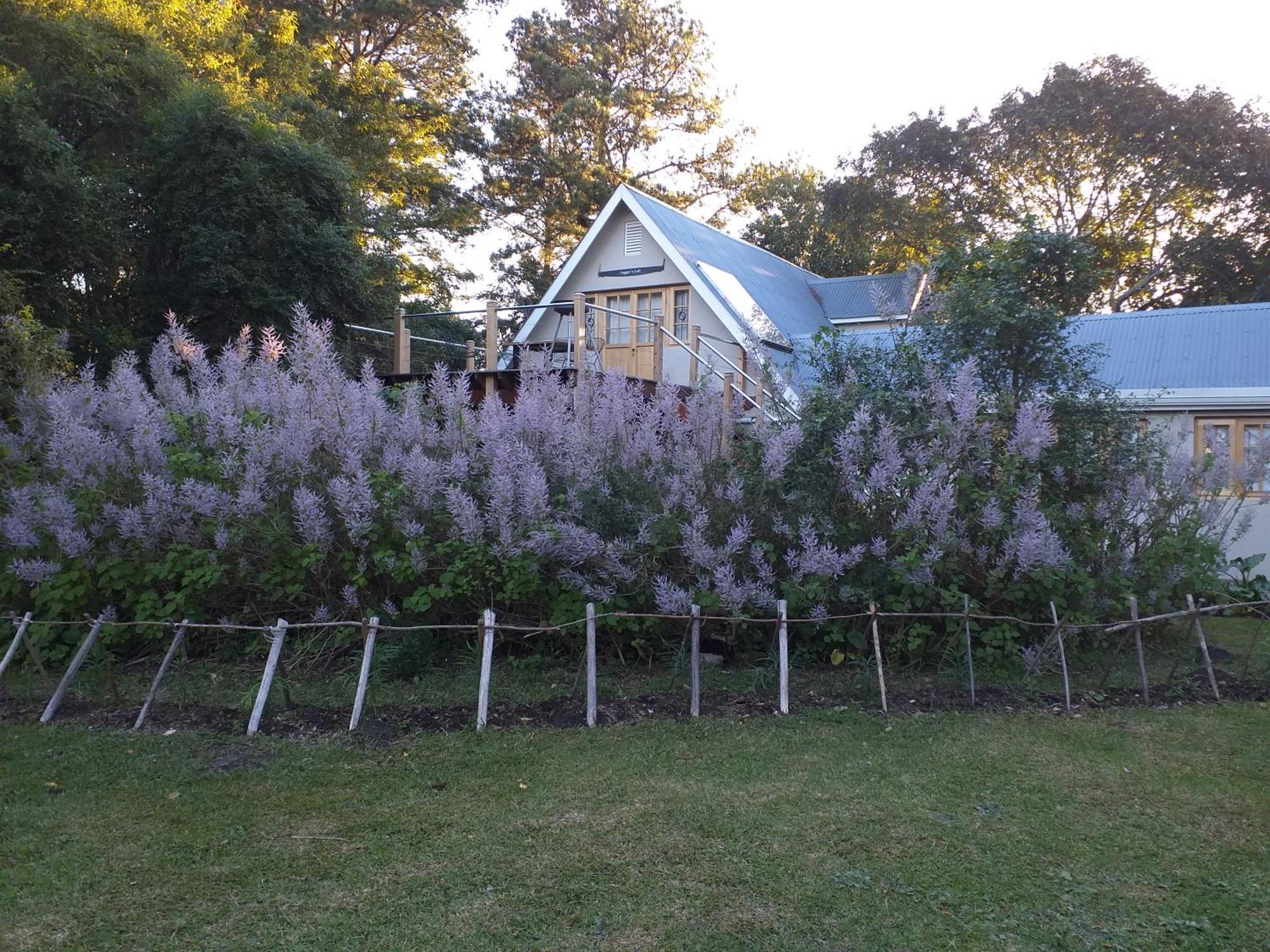 Loggers Loft Stormsrivier Exterior foto